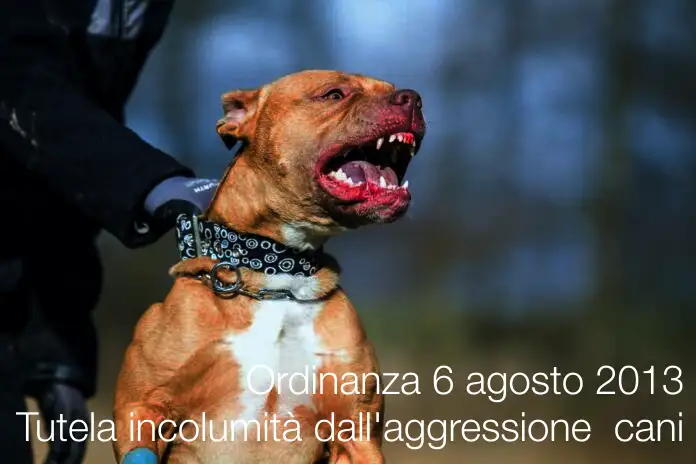 Ordinanza 6 agosto 2013 / Tutela dell'incolumita' pubblica dall'aggressione dei cani
